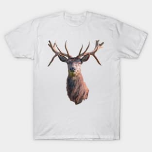 The Stag T-Shirt